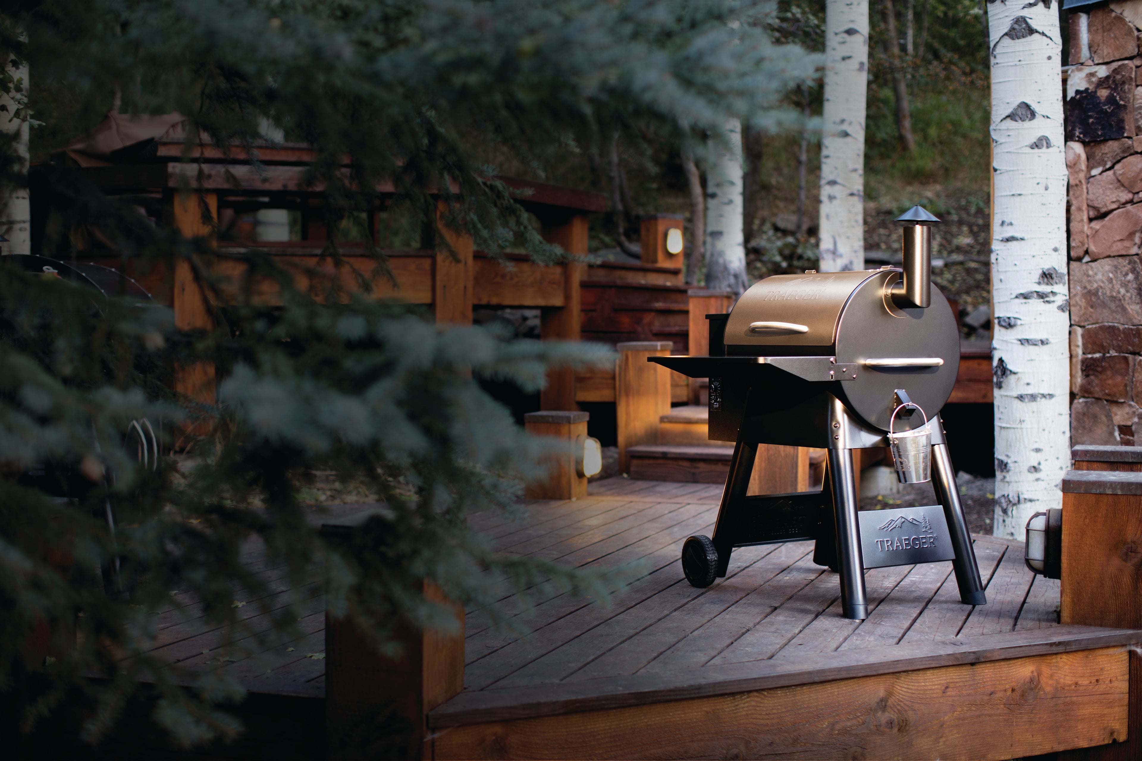 Traeger Pro Series 22 Blue